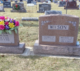 Carmel Cemetery - Wilson