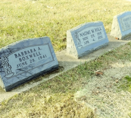 Plainview Cemetery - Boxwell